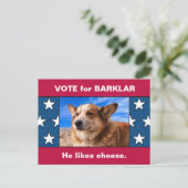 Ihr Hund in der lustigen US-Wahlkampagne Parody 20 Postkarte (Stehend Vorderseite)