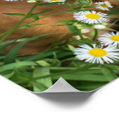 Ihr Hundebild hier Poster (Ecke)