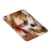 Ihr Hundewelpen-Foto Magnet (Rechte Seite)