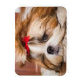 Ihr Hundewelpen-Foto Magnet (Vertikal)