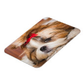 Ihr Hundewelpen-Foto Magnet (Linke Seite)