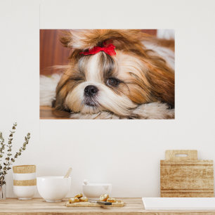 Ihr Hundewelpen-Foto Poster