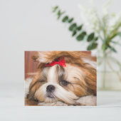 Ihr Hundewelpen-Foto Postkarte (Stehend Vorderseite)