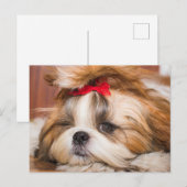 Ihr Hundewelpen-Foto Postkarte (Vorne/Hinten)