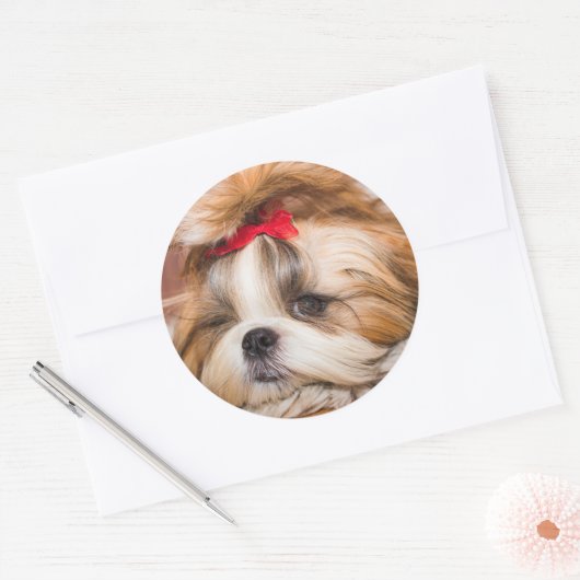 Ihr Hundewelpen-Foto Runder Aufkleber (Umschlag)