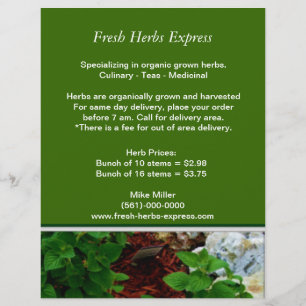 Ihr Kräuter-Geschäfts-Flyer Flyer