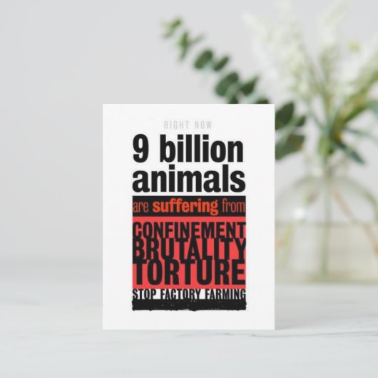 Ihr Leid Postkarte (Stehend Vorderseite)