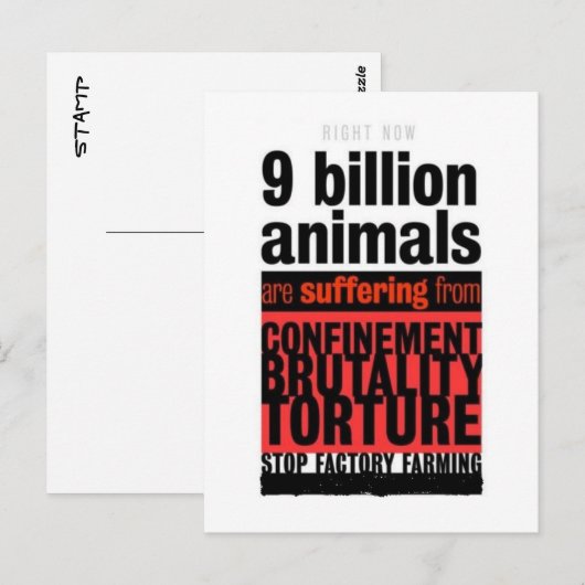 Ihr Leid Postkarte (Vorne/Hinten)