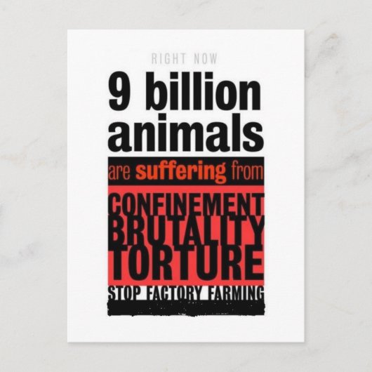 Ihr Leid Postkarte (Vorderseite)