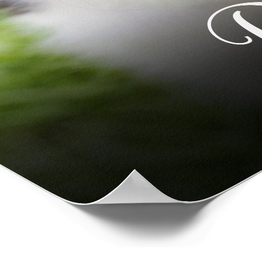 Ihr Lieblings-Foto Poster (Ecke)