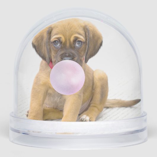 Ihr lustiger Hund Fotos, 2 Insgesamt Schneekugeln (Vorderseite)