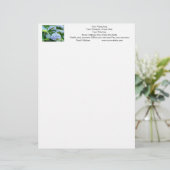 Ihr Name Letterhead Adresse Telefon Hydrangeas Briefkopf (Stehend Vorderseite)