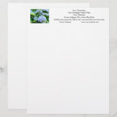 Ihr Name Letterhead Adresse Telefon Hydrangeas Briefkopf (Vorne/Hinten)