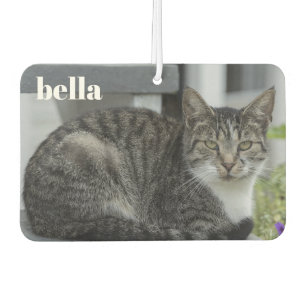 Ihr Name und Ihre Katzen-Fotovorlage Autolufterfrischer