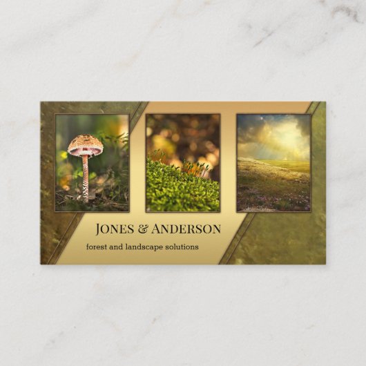 Ihr Portfolio aus 4 Fotos Waldlandschaft Visitenkarte (Vorderseite)