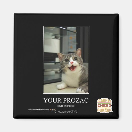 Ihr Prozac Magnet (Vorne)