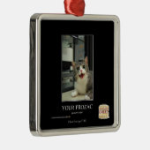 Ihr Prozac Ornament Aus Metall (Rechts)