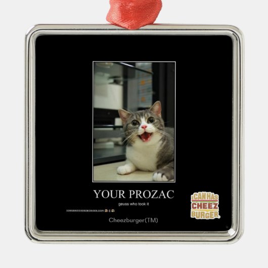 Ihr Prozac Ornament Aus Metall (Vorne)