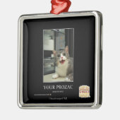 Ihr Prozac Ornament Aus Metall (Links)