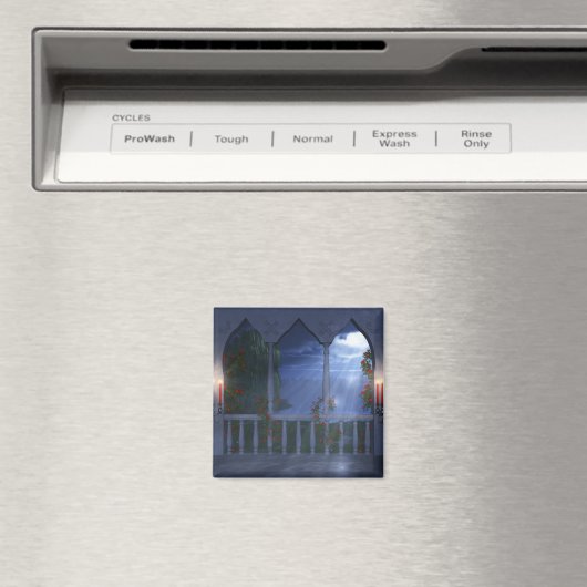 Ihr silberes Mantle Magnet (In Situ (Geschirrspüler))