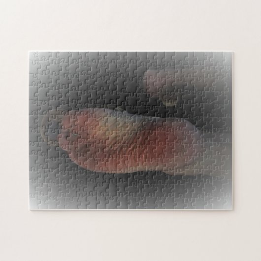 IHR SOLE PUZZLE (Horizontal)