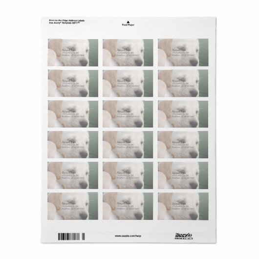 Ihr Square Image ersetzt Gelbe Labrador Puppy Adressaufkleber (Vorne)