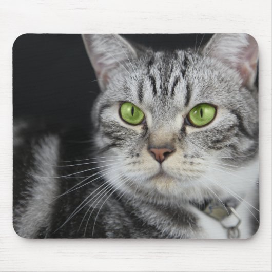 Ihr süßes Cat-Foto Mousepad (Vorne)
