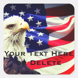 Usa Adler Aufkleber Zazzle De