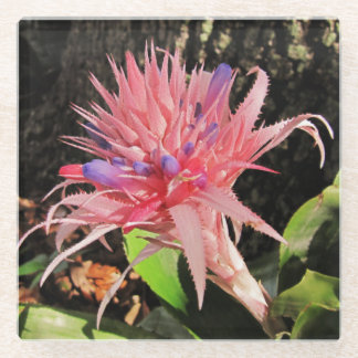 Ihr Untersetzer aus Glas