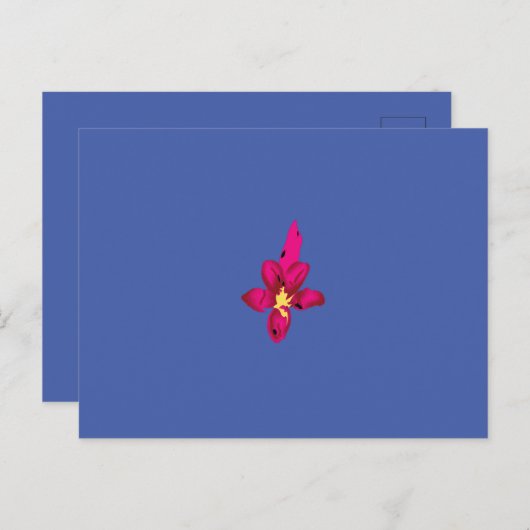 Ihr Urlaub in Ihrem Pocket Postkarte (Vorne/Hinten)