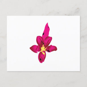 Ihr Urlaub in Ihrem Pocket Postkarte