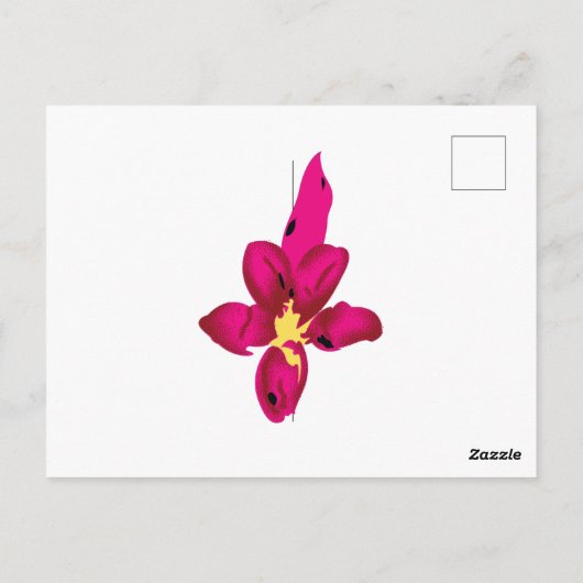 Ihr Urlaub in Ihrem Pocket Postkarte (Rückseite)