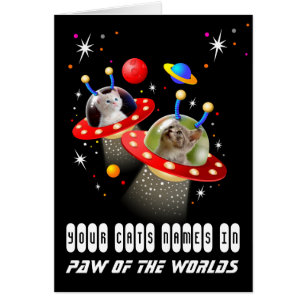 Ihre 2 Katzen in einer Alien Raumschiff UFO Sci Fi