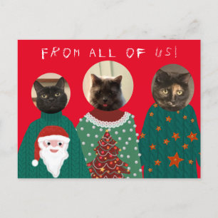 Ihre 3 Katzen in Ugly Christmas Sweaters Postcard Postkarte