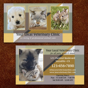 Ihre 4 Fotos Tier- oder Veterinärklinik Visitenkarte