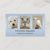 Ihre 4 Fotos Tierklinik oder Tierpflege Dusty Blue Visitenkarte (Vorderseite)