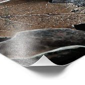 Ihre benutzerdefinierte 16" x 12" Foto-Erweiterung Fotodruck (Ecke)