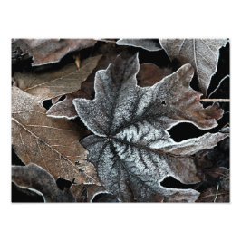 Ihre benutzerdefinierte 16" x 12" Foto-Erweiterung Fotodruck