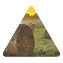 Ihre benutzerdefinierten Dreieck-Aufkleber