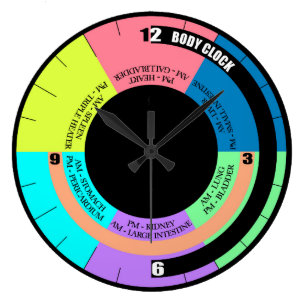 Ihre Bio-Body-Wall-Uhr Große Wanduhr