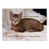 Ihre Cat Foto Beileid Grußkarte (Vorderseite (Horizontal))