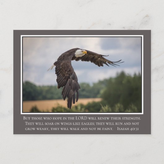 Ihre CoIor Flügel wie Eagles Isaiah 40:31 Bibel Postkarte (Vorderseite)