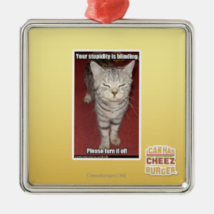 Ihre Dummheit macht 2 blind Silbernes Ornament