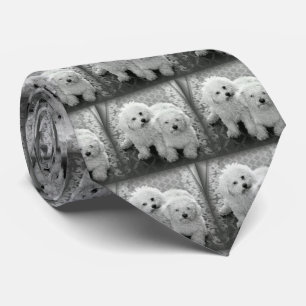 Ihre eigene Foto-Hals-Krawatte Krawatte