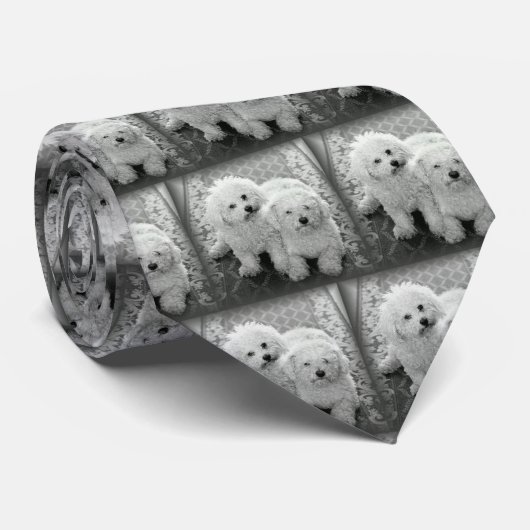 Ihre eigene Foto-Hals-Krawatte Krawatte (Gerollt)