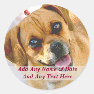 Ihre eigenen Foto-und Gewohnheits-Text-Aufkleber Runder Aufkleber