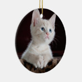 Ihre Foto-Gewohnheit Keramikornament (Rechts)