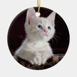 Ihre Foto-Gewohnheit Keramikornament