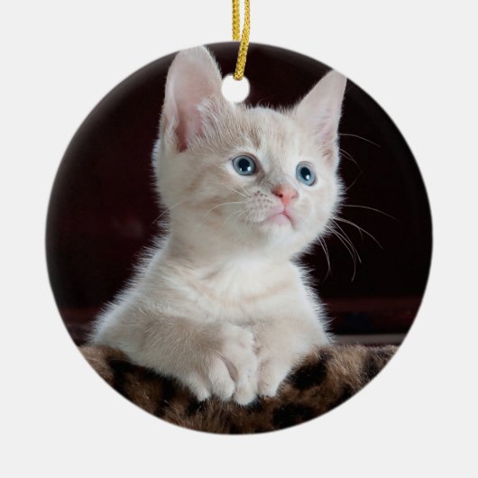 Ihre Foto-Gewohnheit Keramikornament (Vorne)