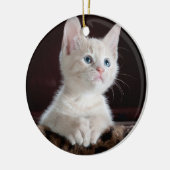 Ihre Foto-Gewohnheit Keramikornament (Links)